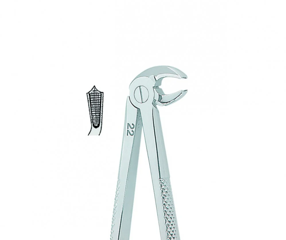 Extracting Forceps English No. 22 MEDIUM